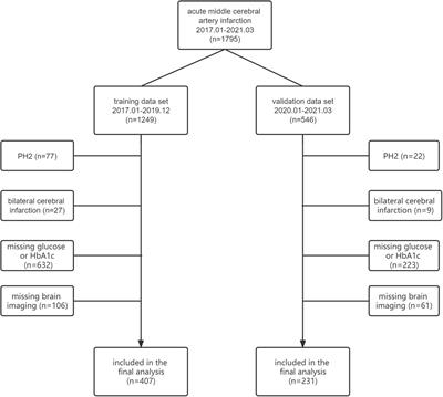 The stress hyperglycemia ratio is associated with the development of cerebral edema and poor functional outcome in patients with acute cerebral infarction